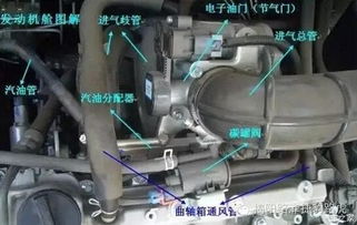 汽车加气怎么看加多少(汽车加气,如何判断加气量) 汽车加气怎么看加多少(汽车加气,如何判断加气量)