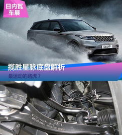 检查汽车底盘要求多少钱(汽车底盘检查费用解析,价格因素与重要性) 检查汽车底盘要求多少钱(汽车底盘检查费用解析,价格因素与重要性)