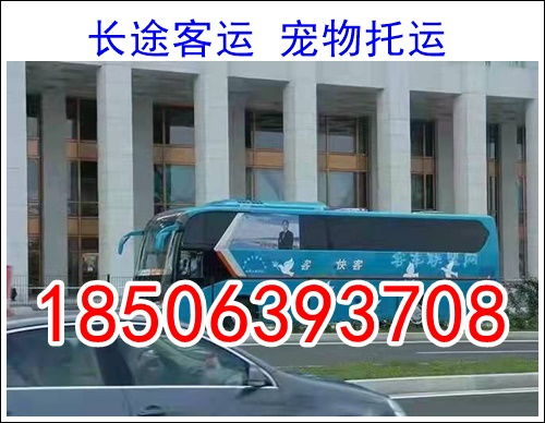 扶余到舒兰汽车票多少钱(关于扶余到舒兰汽车票价的信息) 扶余到舒兰汽车票多少钱(关于扶余到舒兰汽车票价的信息)
