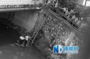深圳一河道惊现大量成扎钞票(深圳一河道惊现大量成扎钞票,神秘事件引发社会热议) 深圳一河道惊现大量成扎钞票(深圳一河道惊现大量成扎钞票,神秘事件引发社会热议)