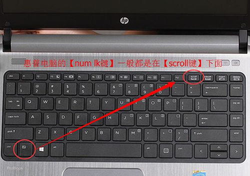 华为电脑怎么显示数字键(华为电脑如何显示数字键,详细指南) 华为电脑怎么显示数字键(华为电脑如何显示数字键,详细指南)