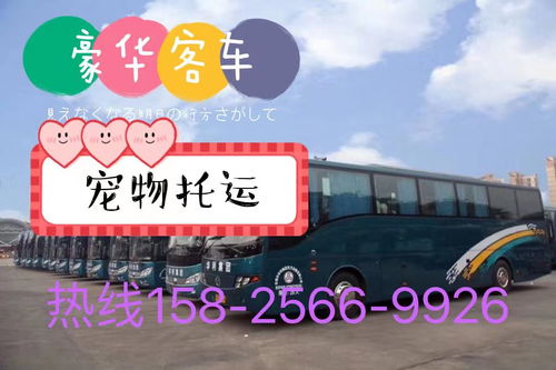 鱼台至苏州汽车票多少钱(鱼台至苏州汽车票价详解,一路行程,一价到底) 鱼台至苏州汽车票多少钱(鱼台至苏州汽车票价详解,一路行程,一价到底)