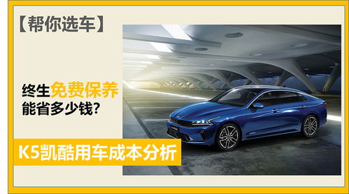 汽车车尾装录像要多少钱(汽车车尾装录像的费用分析) 汽车车尾装录像要多少钱(汽车车尾装录像的费用分析)