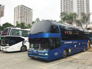 西安到苍南汽车票多少钱(西安到苍南汽车票价详解,费用、路线与旅行准备) 西安到苍南汽车票多少钱(西安到苍南汽车票价详解,费用、路线与旅行准备)