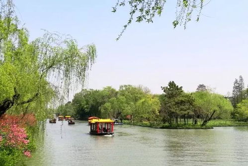 扬州瘦西湖已被苏超游客“占领”扬州瘦西湖,苏超游客的热情占领) 扬州瘦西湖已被苏超游客“占领”扬州瘦西湖,苏超游客的热情占领)