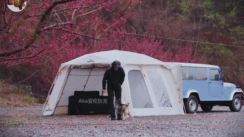 最便宜的露营汽车多少钱(最便宜的露营汽车价格探究) 最便宜的露营汽车多少钱(最便宜的露营汽车价格探究)