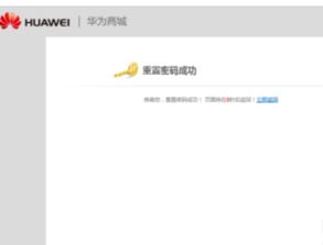 华为电脑密码忘记怎么班(华为电脑密码忘记怎么办？解锁密码重置的实用指南)