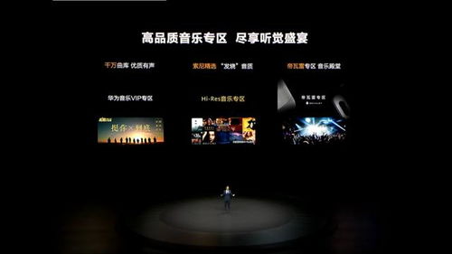 华为电脑上怎么下载歌(华为电脑上如何轻松下载歌曲—音乐爱好者的福音)