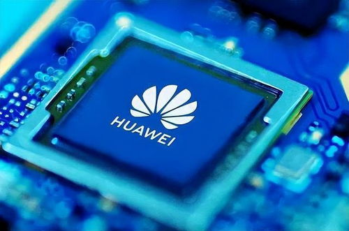 华为电脑怎么装nvidia驱动(华为电脑如何安装NVIDIA驱动)