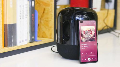 华为sound x怎么连电脑(华为Sound X连接电脑,详细步骤与操作指南) 华为sound x怎么连电脑(华为Sound X连接电脑,详细步骤与操作指南)