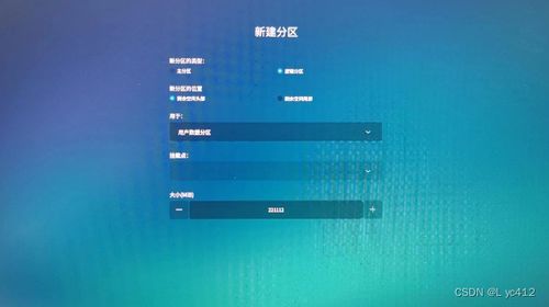 华为电脑怎么下双系统(华为电脑如何安装双系统—详细指南)