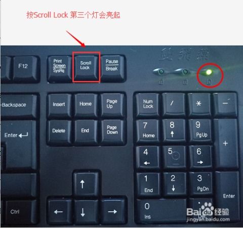 华为电脑怎么换键盘灯(华为电脑键盘灯更换指南) 华为电脑怎么换键盘灯(华为电脑键盘灯更换指南)