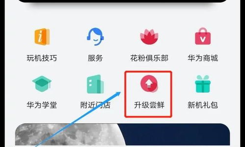 华为怎么升级高版本电脑(华为电脑高版本升级攻略)
