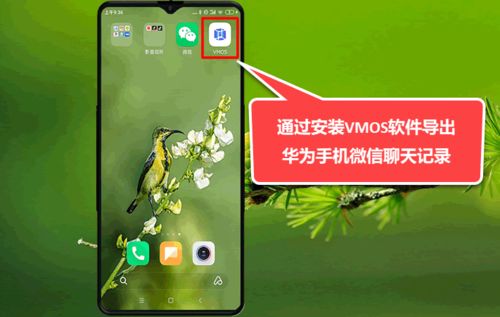 华为照片电脑怎么导出(华为照片电脑导出全攻略,轻松实现照片同步传输) 华为照片电脑怎么导出(华为照片电脑导出全攻略,轻松实现照片同步传输)