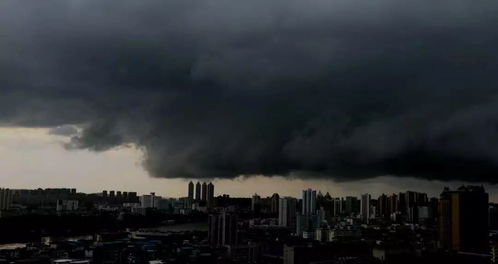 一秒天黑 济南突降暴雨(济南暴雨,一秒天黑,城市中的壮丽画卷) 一秒天黑 济南突降暴雨(济南暴雨,一秒天黑,城市中的壮丽画卷)