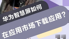 华为视频电脑怎么下(华为视频电脑下载指南) 华为视频电脑怎么下(华为视频电脑下载指南)
