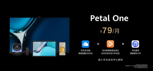 华为音乐怎么电脑播放(华为音乐电脑播放指南,轻松享受高品质音乐体验) 华为音乐怎么电脑播放(华为音乐电脑播放指南,轻松享受高品质音乐体验)