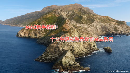 电脑图标怎么换华为(华为电脑图标更换指南，轻松定制你的桌面风格)