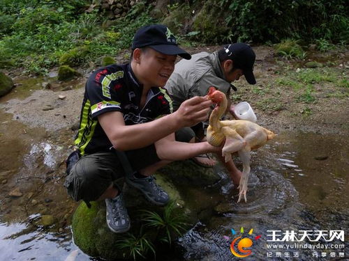 华为手机桌面怎么默认 华为手机桌面怎么默认
