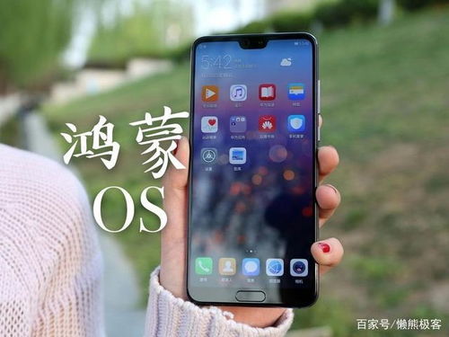 华为怎么起用鸿蒙手机 华为怎么起用鸿蒙手机