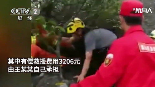 华为手机怎么壁纸滚动 华为手机怎么壁纸滚动
