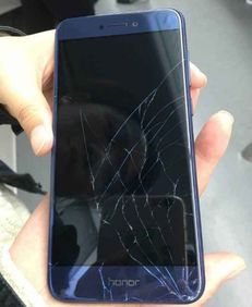 华为手机怎么养蛙 华为手机怎么养蛙