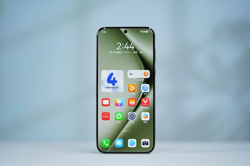 华为手机小布怎么找 华为手机小布怎么找