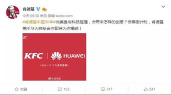 汉堡华为手机怎么下载 汉堡华为手机怎么下载