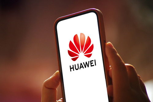 华为手机怎么进去工厂 华为手机怎么进去工厂