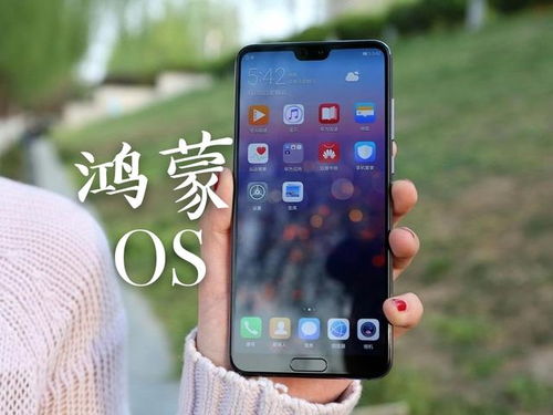 华为手机怎么确定进水