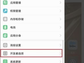 华为手机选项怎么找