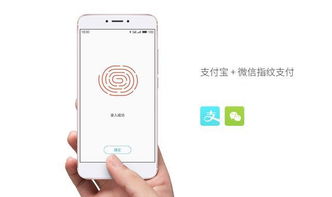 华为手机怎么面部付款 华为手机怎么面部付款