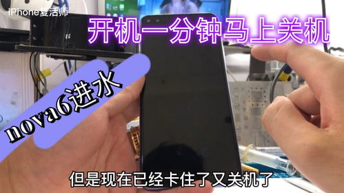 华为手机除尘怎么开启 华为手机除尘怎么开启