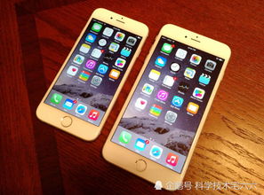 华为手机政府怎么补贴 华为手机政府怎么补贴