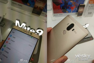 华为mate手机怎么抢 华为mate手机怎么抢