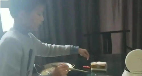 游戏动态攻略 VS 独自在家的游戏攻略小说 游戏动态攻略 VS 独自在家的游戏攻略小说