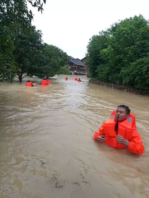 “坚持住爹爹 我们把你救下来了” “坚持住爹爹 我们把你救下来了”