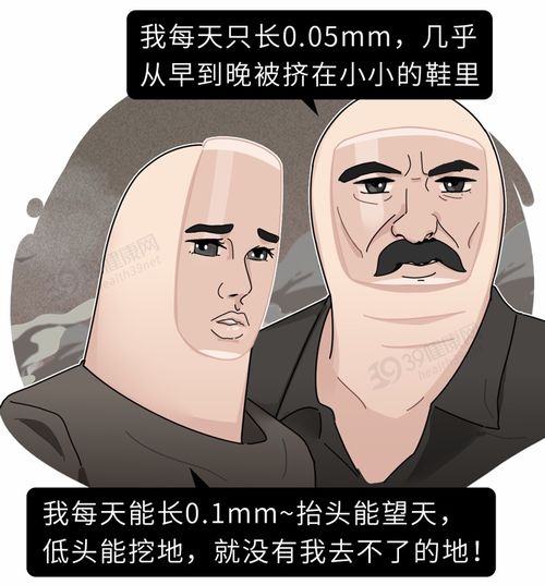 游戏maxs攻略 VS 皇帝游戏橙光游戏攻略 游戏maxs攻略 VS 皇帝游戏橙光游戏攻略