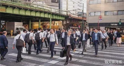 放弃日本后 澳洲人正疯狂涌向中国 放弃日本后 澳洲人正疯狂涌向中国