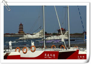 《八仙!》出海 《八仙!》出海