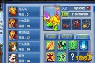 暗道游戏攻略 VS 神武4游戏宠物打书攻略 暗道游戏攻略 VS 神武4游戏宠物打书攻略