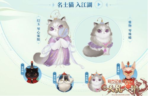 猫咪游戏跳操游戏攻略 VS 猫咪游戏跳操游戏攻略 猫咪游戏跳操游戏攻略 VS 猫咪游戏跳操游戏攻略