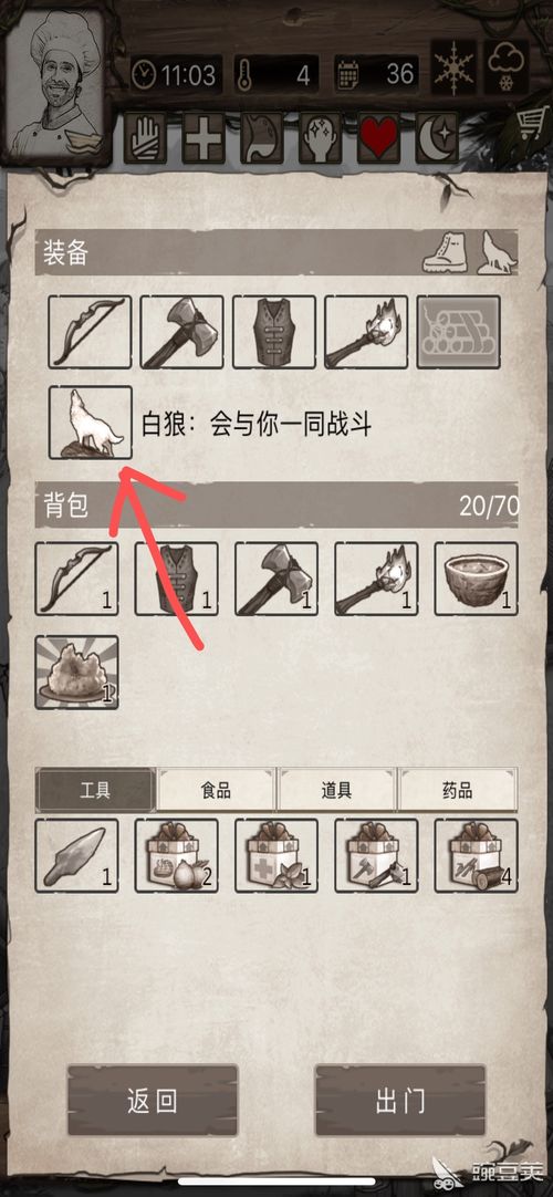 荒岛求生游戏轻游戏攻略 VS 宠物解密攻略游戏 荒岛求生游戏轻游戏攻略 VS 宠物解密攻略游戏