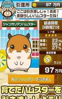 仓鼠攻略游戏直播 VS 112游戏攻略
