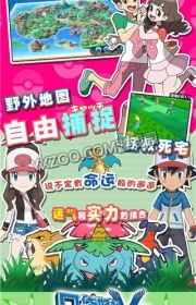 游戏煎饼攻略 VS 口袋妖怪之游戏攻略大全