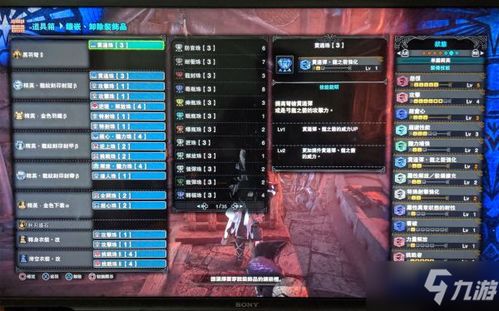 候鸟攻略游戏 VS 猎人猎人游戏攻略 候鸟攻略游戏 VS 猎人猎人游戏攻略